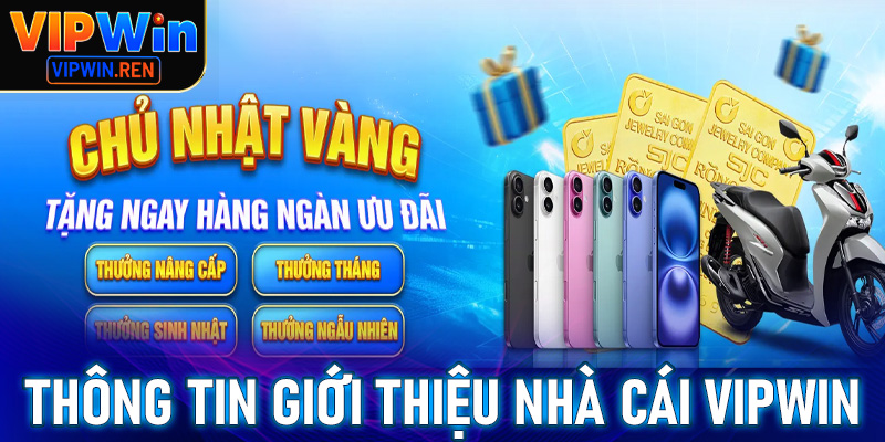Thông tin giới thiệu nhà cái cá cược uy tín Vipwin