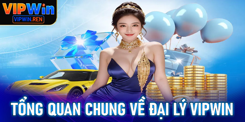 Tổng quan chung về chính sách hợp tác đại lý Vipwin