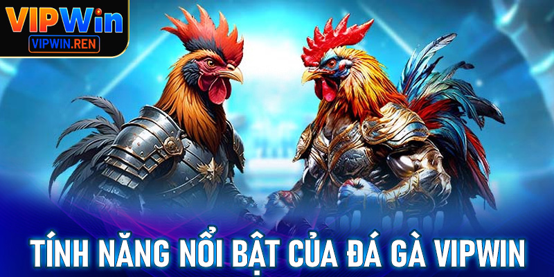 Những tính năng nổi bật của sảnh cá cược đá gà Vipwin