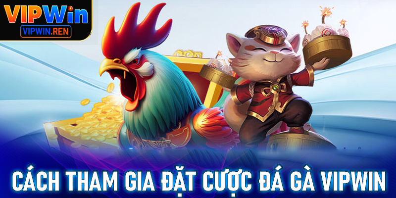 Cụ thể các thao tác đơn giản để tham gia cá cược đá gà Vipwin