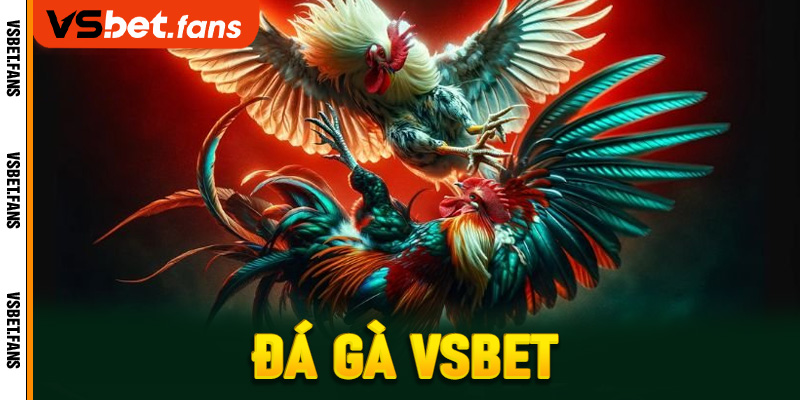 Đá gà VSbet