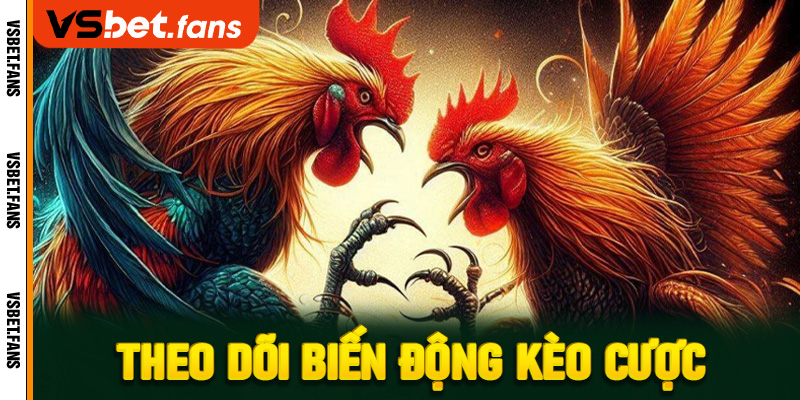 Theo dõi biến động kèo cược